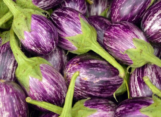 Aubergine graphiti