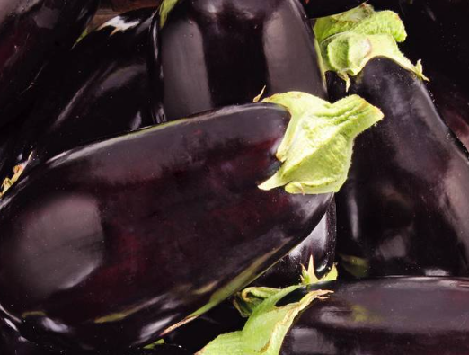 Aubergine