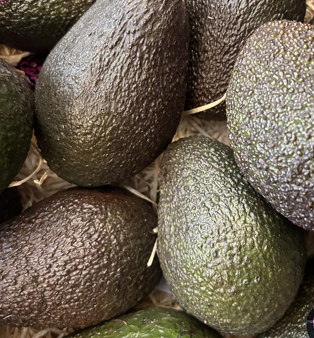 Avocat