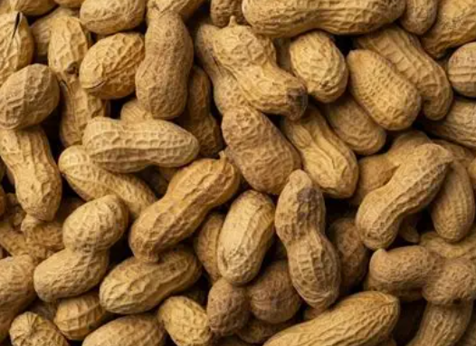 Cacahuete (avec coque) 200g