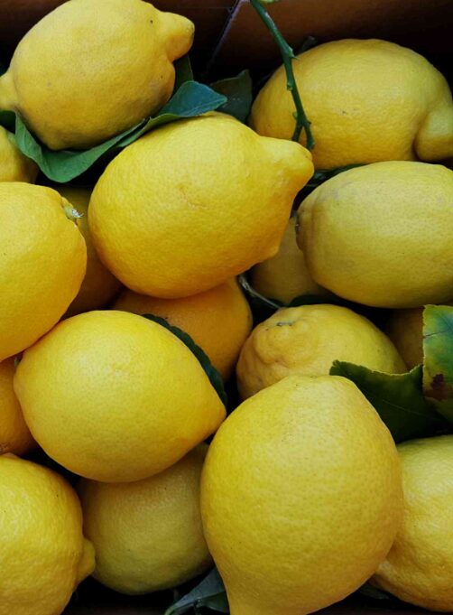 Citron de Nice