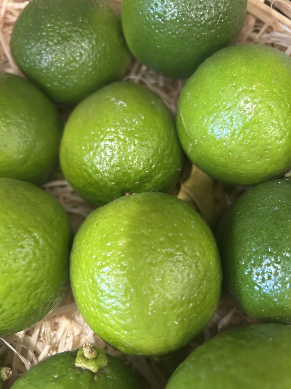 Citron vert