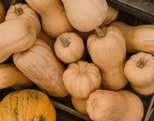 Courge butternut