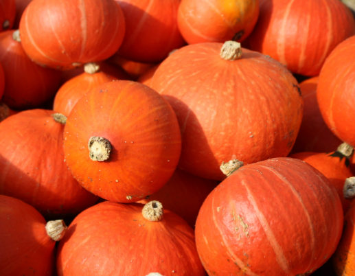 Courge potimarron
