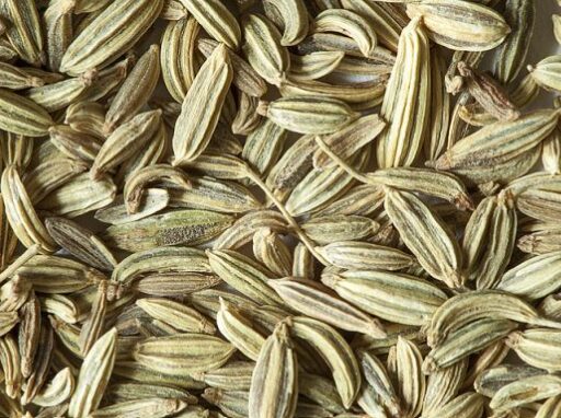 Graine de fenouil 100g