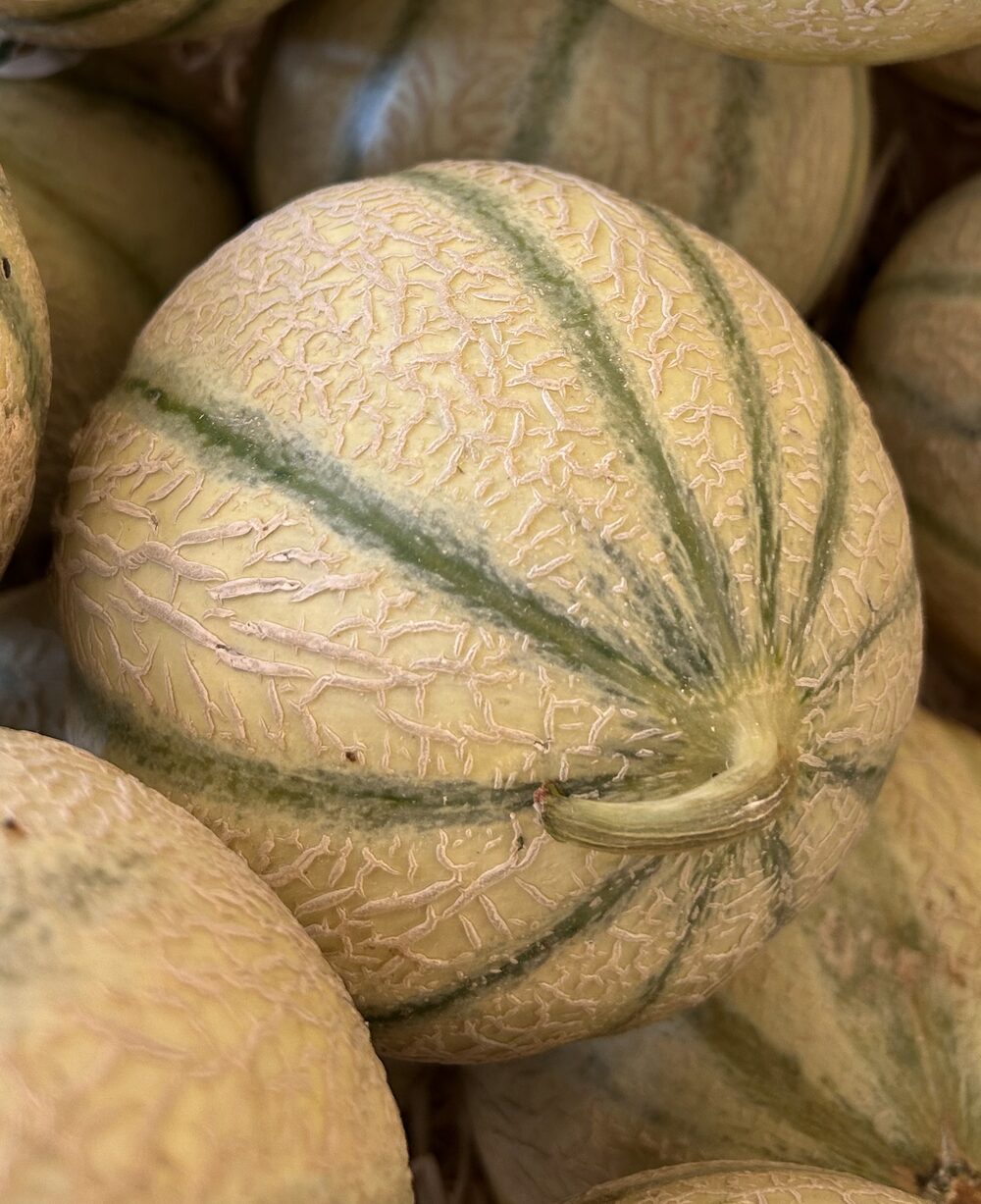 Melon