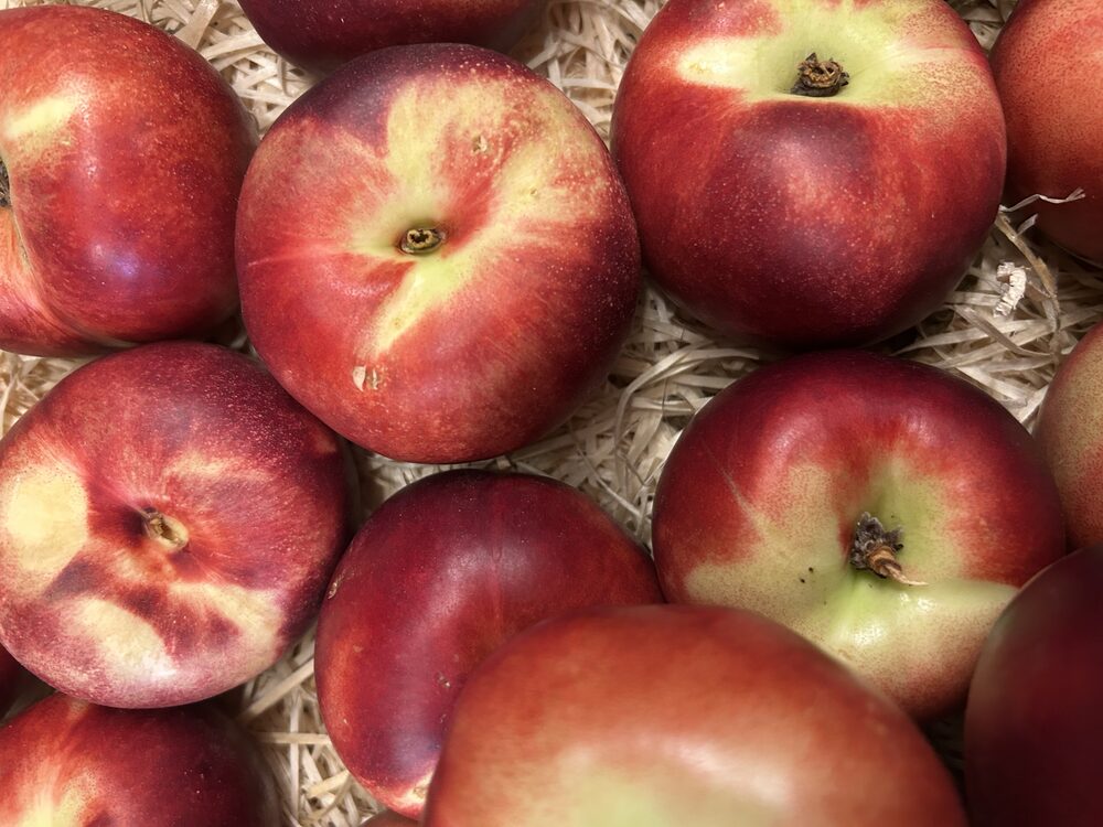 Nectarine blanche