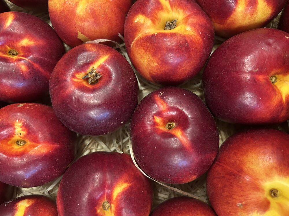 Nectarine jaune