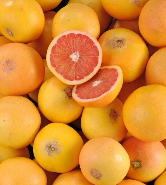 Pomelos Corse