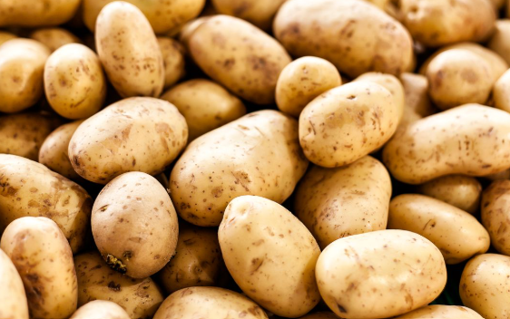 Pomme de terre purée soupe frites