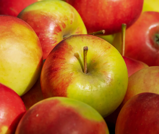 Pomme Elstar