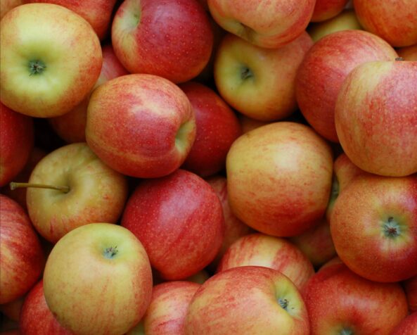 Pomme jonagold