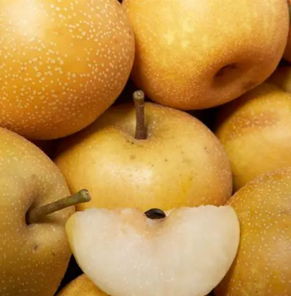 Pomme nashi
