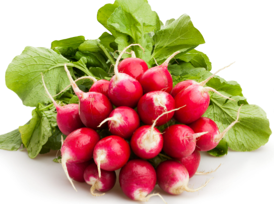 Radis rouge