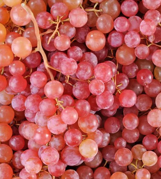 Raisin rosé Italia