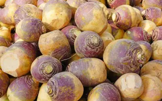 Rutabaga