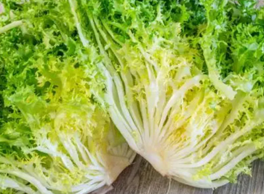 Salade Frisée