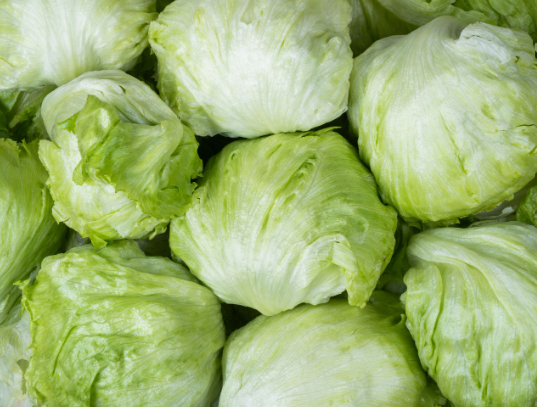 Salade iceberg