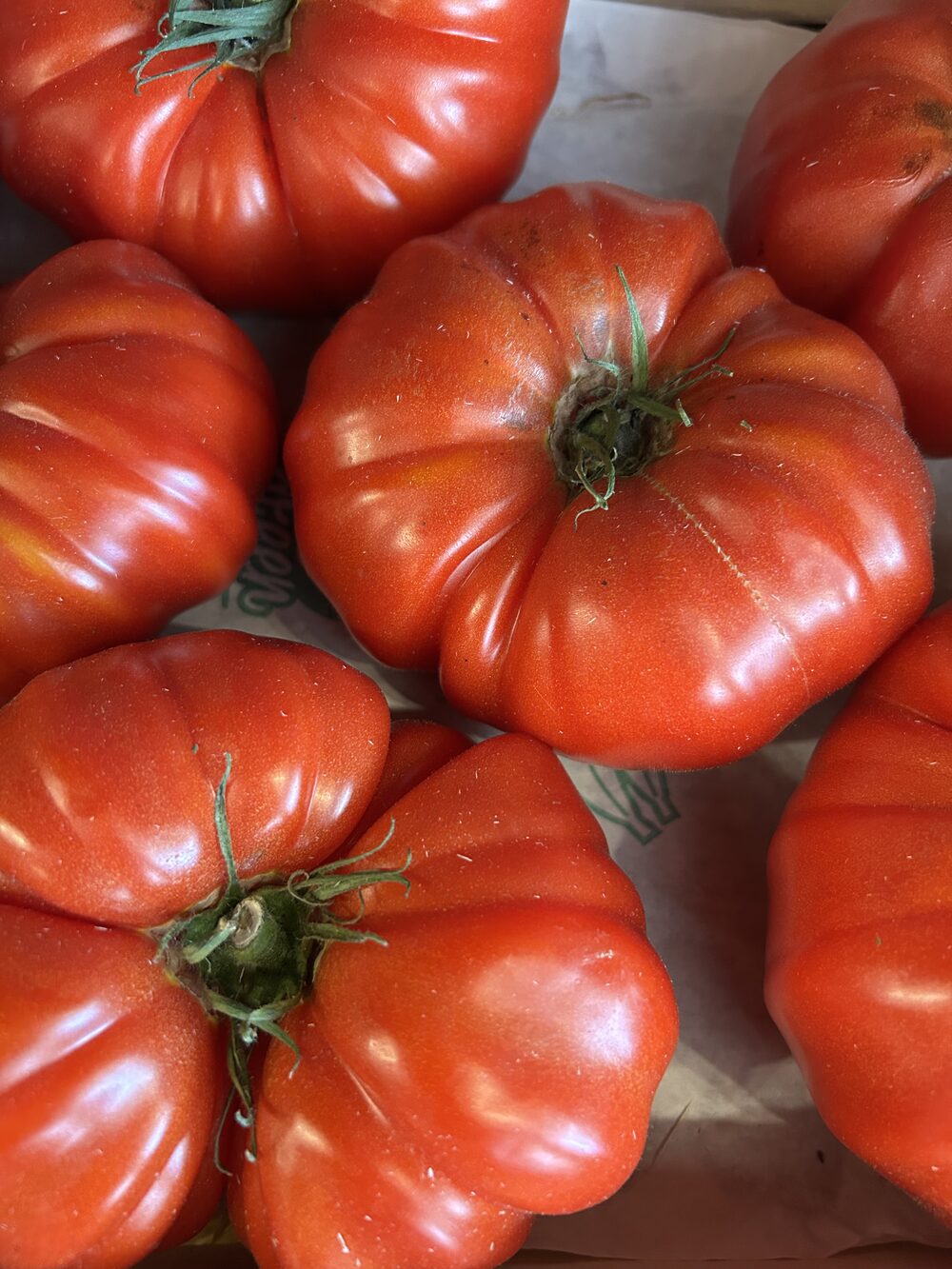 Tomate ancienne (Marmande)