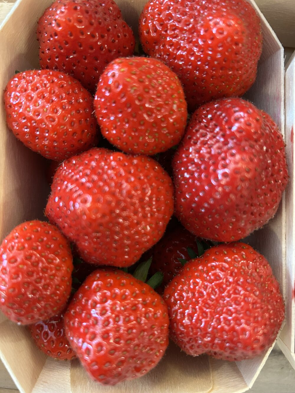 Fraise Mara des bois
