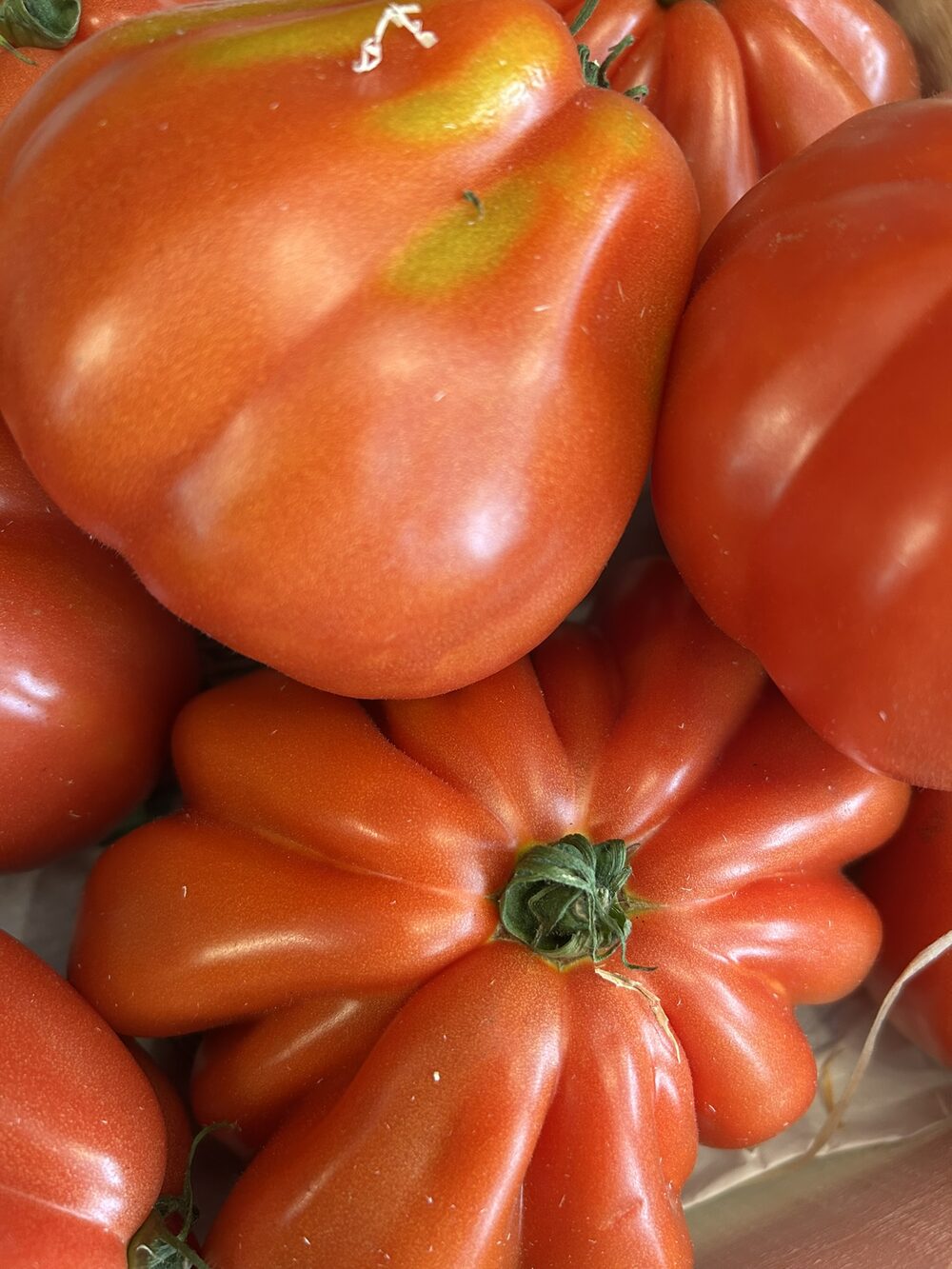Tomate ancienne (Cœur de bœuf cotelée)