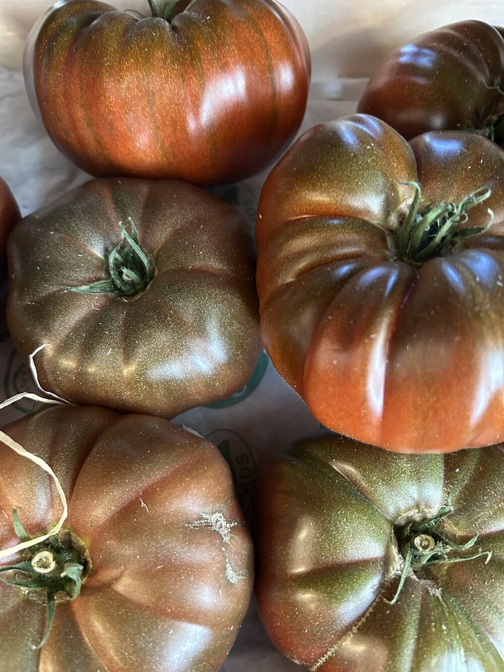 Tomate ancienne (Crimée)