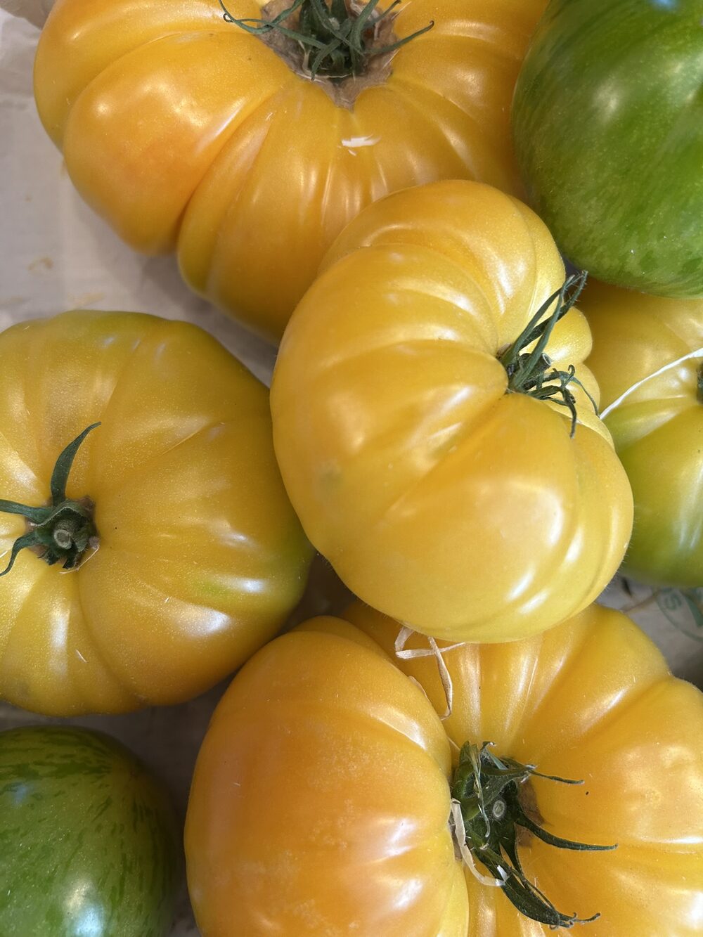 Tomate ancienne (Jaune ananas)