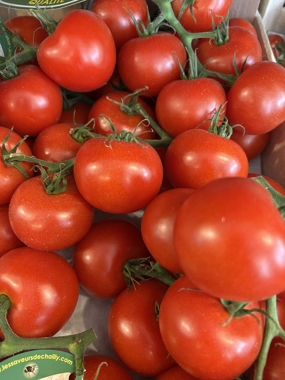 Tomate grappe